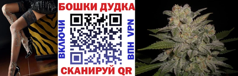 Купить закладку Канабис  Лсд 25  МЕФ  Alpha-PVP  Железногорск-Илимский