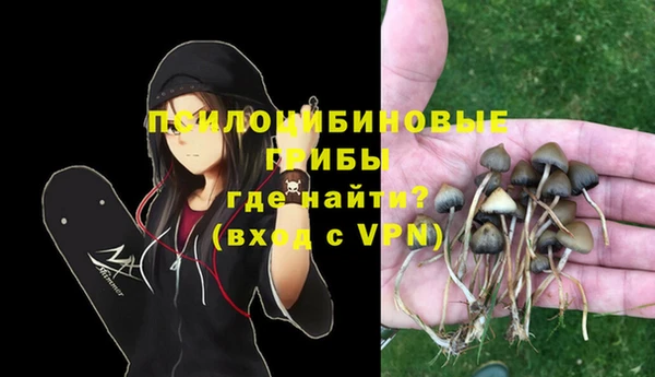 mdpv Касимов